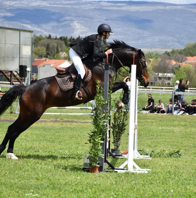 KONJIČKI SPORT – Izvrsni nastupi zadarskih jahačica